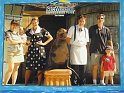 SeaWorld-SeaLion (Medium)